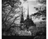 850_7444-Edit