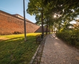 NEF_5807