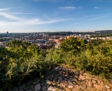 NEF_5811