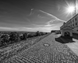 NEF_5852-Edit
