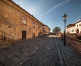 NEF_5862