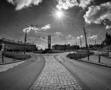NEF_8382-Edit-10
