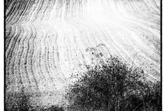 abstrakce-blbůstky
