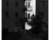 850_8888-Edit-3