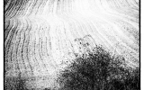 DSC_5586-Edit