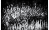 DSC_5590-Edit
