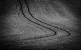 DSC_5598-Edit-2