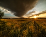 1_810_2734-Edit-studio