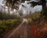 750_0559-Edit