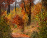 750_1099-Edit-2