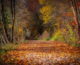 750_1135-Edit