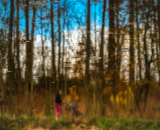 750_1152-Edit