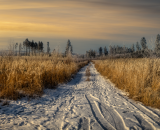 750_1751-PanoPS