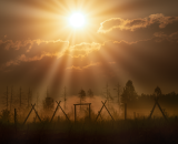 750_3204-Edit-2