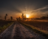 750_7306-Edit-Edit-2