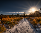 810_1151-Edit-3-Edit-Edit