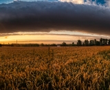 810_2748-Pano-topaz1-studio