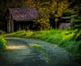 810_3640-Edit