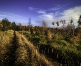 810_5076-Edit