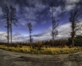 810_5083-Edit-2-Edit