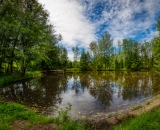 810_7612-Edit