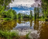 810_7619-Edit-2-Edit