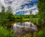 810_7641-Edit-2-studio
