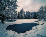 850_0294-Edit-topaz-denoise