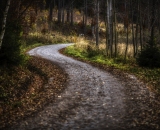 850_2227-Edit