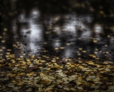 850_2241-Edit-Edit