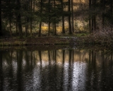 850_2251-Edit