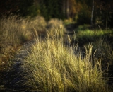 850_2258-Edit