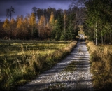 850_2281-Edit