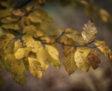 850_2325-Edit
