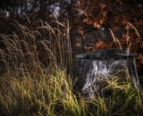 850_2342-Edit