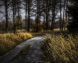 850_2354-Edit