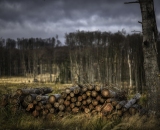 850_2375-Edit