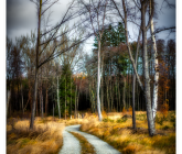 850_2383-Edit-Edit-2