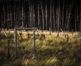 850_2387-Edit
