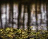850_2405-Edit
