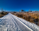 850_6717-Edit-Edit-Edit