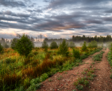 850_8733-Edit-2-topaz-denoise