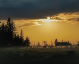 850_8766-Edit