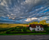 850_9348-Edit