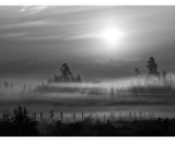 NEF_3104-Edit