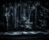 810_4097-Edit
