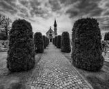 850_9333-Edit-2