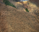 850_7303-Edit-3