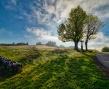 850_5360-Edit-Edit-Edit-2