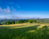 850_5393-Pano-2-Edit